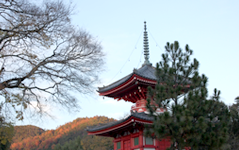 Templo Daikakuji